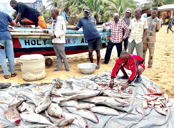 3 fishermen arrested for breaching closed season directive