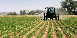 Stakeholders  pushes for diversification of financing sources for biotech activities