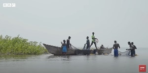 How 2 US-based NGOs staged, jailed and freed innocent Ghanaian over child trafficking