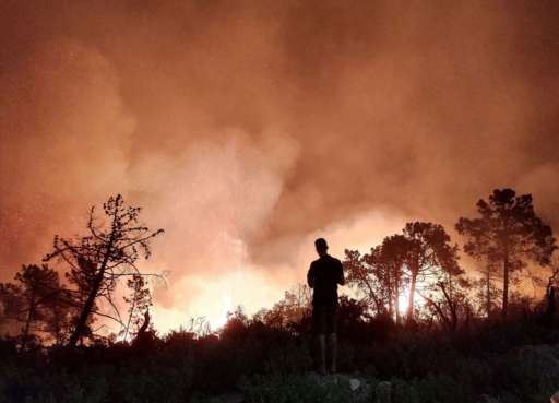 15 people killed in Algerian wildfires amid heatwave