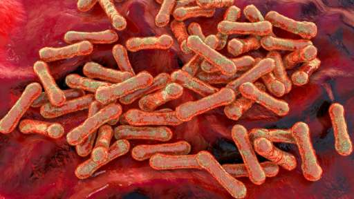 Nigeria battling outbreak of deadly diphtheria