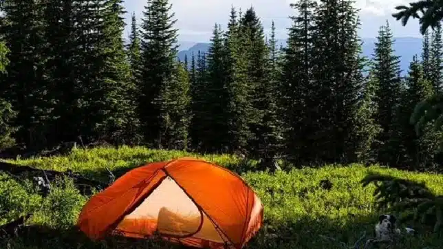 Three ‘mummified’ bodies discovered in far-off mountain campsite