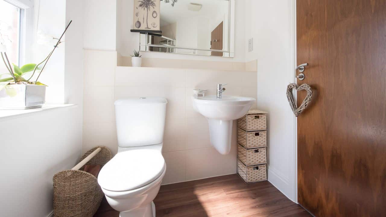 How often should you poop? Experts weigh in on