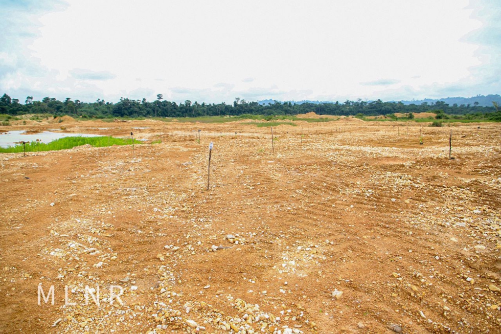 Bank, others granted mining license