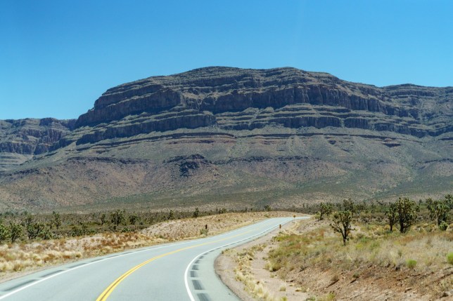 One dead and numerous injured as tour bus rollover at Grand Canyon