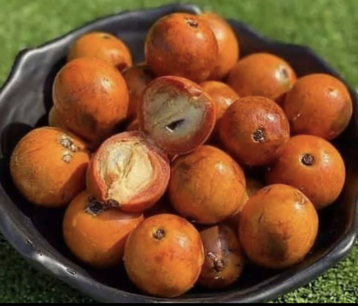 Health benefits of African star apple commonly known as ‘Alasa’