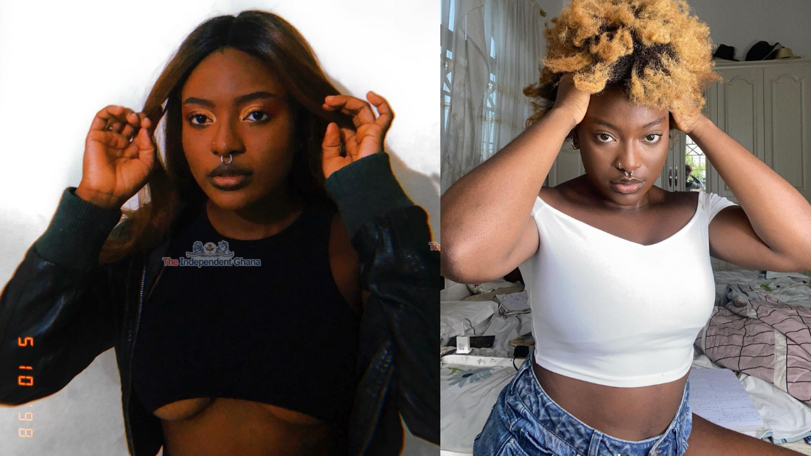 I am used as a “bad example” in law classes – Ama Governor alleges