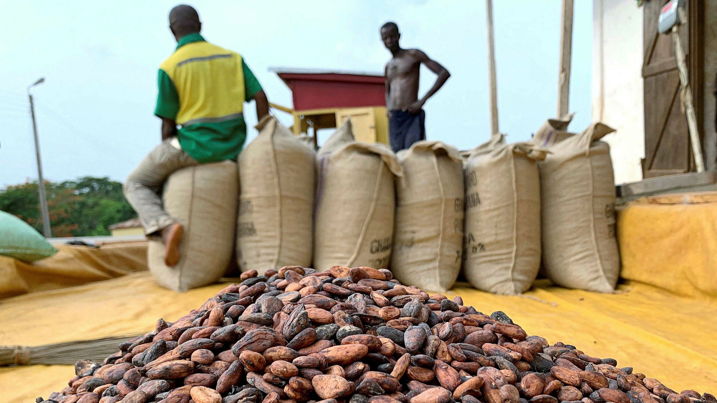 Ivory Coast President announces 50% increase in cocoa farmgate price