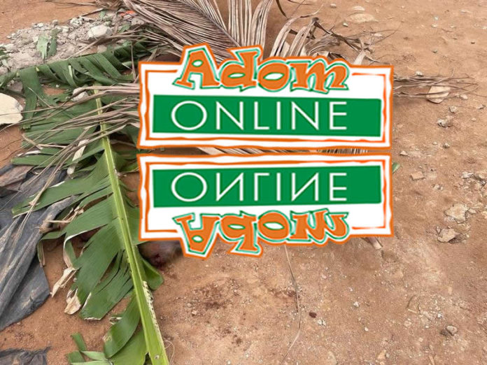 Dead body of young man found by roadside in Teshie