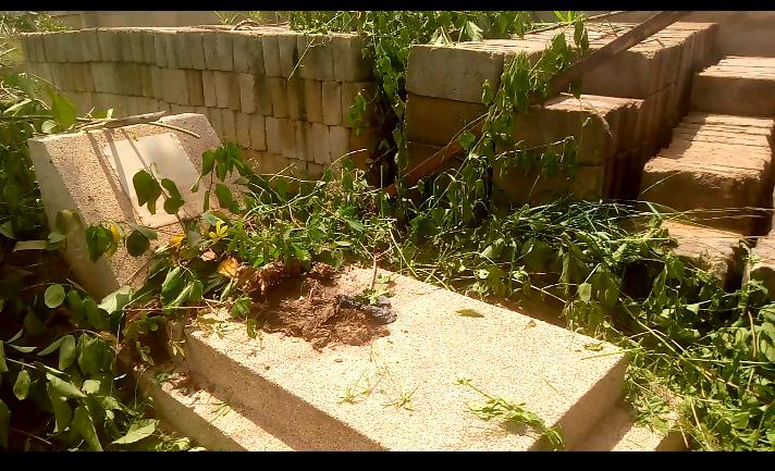 Desecration of cemetery fueling recent deaths in Emena – Assemblyman