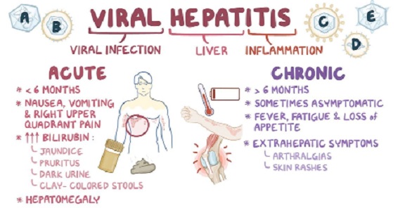 Hepatitis can easily kill you, protect your liver – GHS