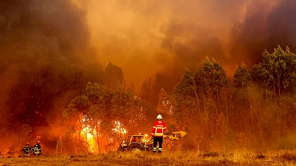 Portugal fights wildfires during the third heatwave of the year