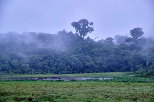 Here are 5 things about Gabon you may not know