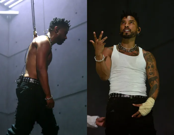 Extreme Art? American musician hangs himself from hooks in his back in live performance