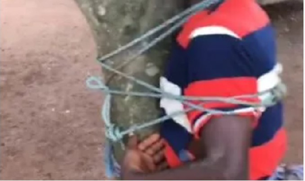 Man ties minor to a tree for ‘stealing’ his oranges