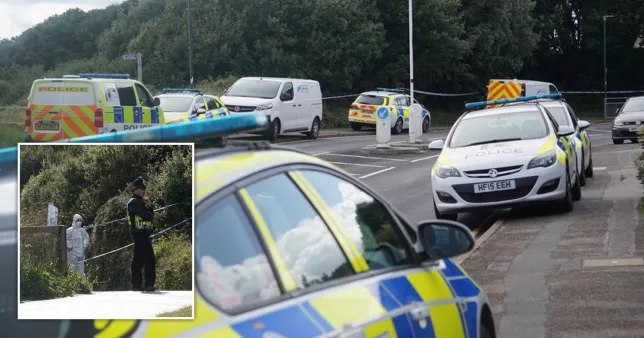 Murder investigation lunched after discovery of human remains in Bournemouth