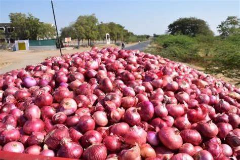 Benin border closure leaves onion sellers stranded