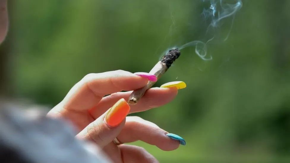 US agency suggests easing marijuana regulations