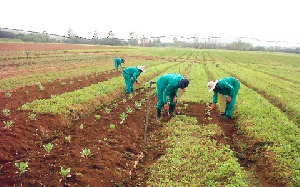 PFJ’s second phase has nothing unique to offer farmers – Minority MP says