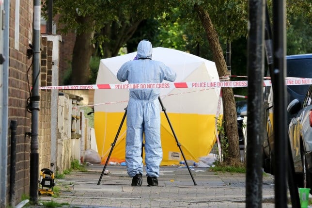 Man in his 20s fatally stabbed in broad daylight in north London
