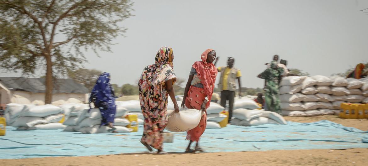 Almost 4 million displaced by Sudan conflict – UN migration agency