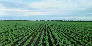 20,000 acres of farmland secured by govt for agric initiative by NSS