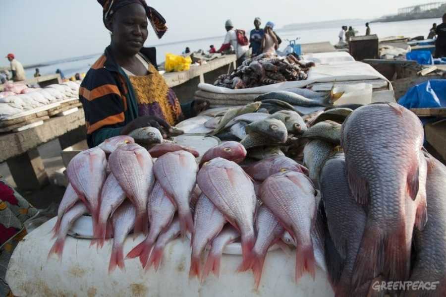 Four fishmongers detained for drying fish on public sidewalk released