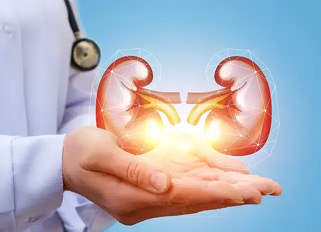 Foods that are safe for your kidneys
