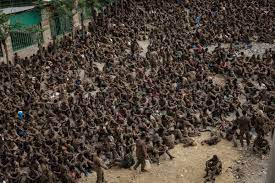 Doctors report numerous civilian deaths in Ethiopian conflicts