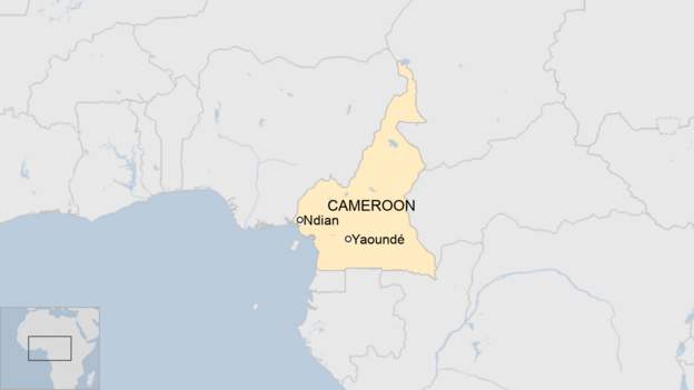 Bodies of kidnapped Cameroonian officials discovered by soldiers