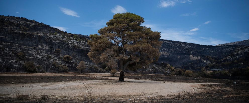 Wildfire in northern Greece continues for the 11th day despite firefighting efforts