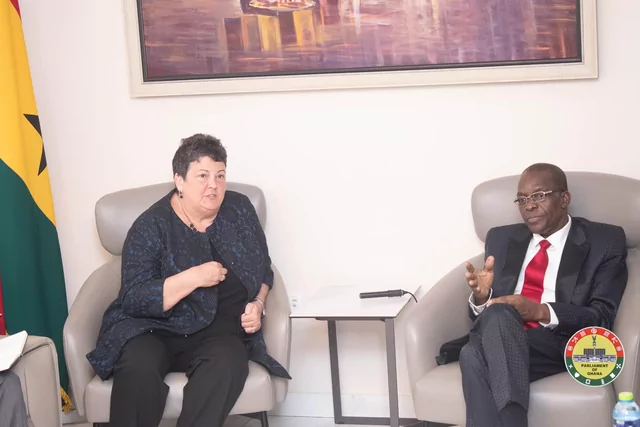 You could lose American investors if anti-LGBTQI bill is passed – US Ambassador to Akufo-Addo