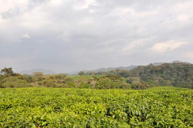 Five new World Heritage sites celebrated in Rwanda