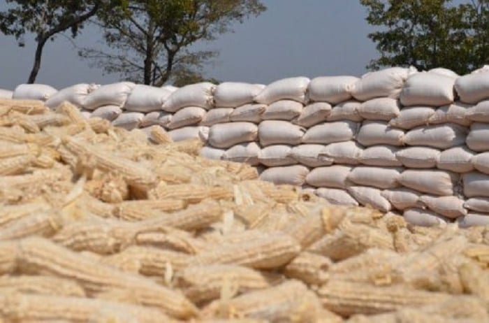 SHSs to receive 600 bags of maize from NSS