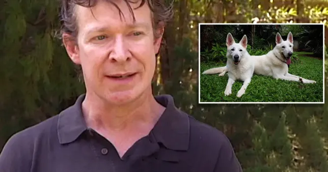 Brit man acknowledges raping and abusing many animals