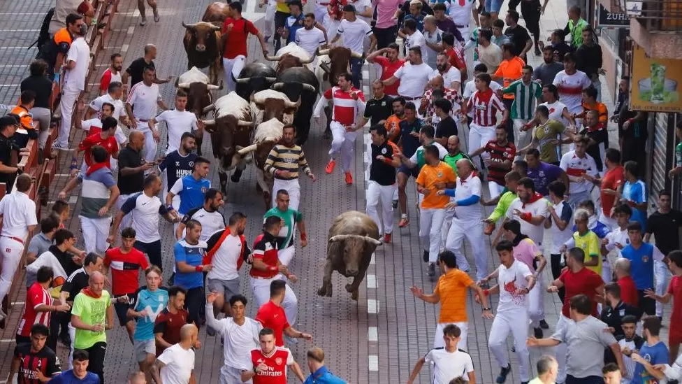 Man killed by bull at festival in Spain