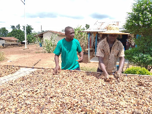 Govt paying cocoa farmers meager amount amidst high world market price – NDC