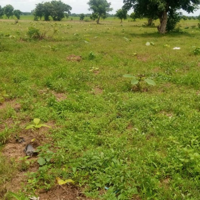 15 hectares of depleted farmlands restored at Sawla