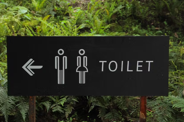 Pupils of Bolgatanga Special Needs School engaged in open defecation over absence of toilet facility