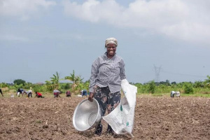 Half of Africa’s population lacks adequate economic or physical access to food – Report