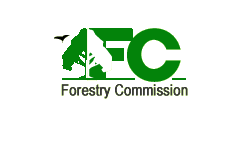 Forestry Commission confiscates 21 vehicles carrying illicit timber in Bono Region