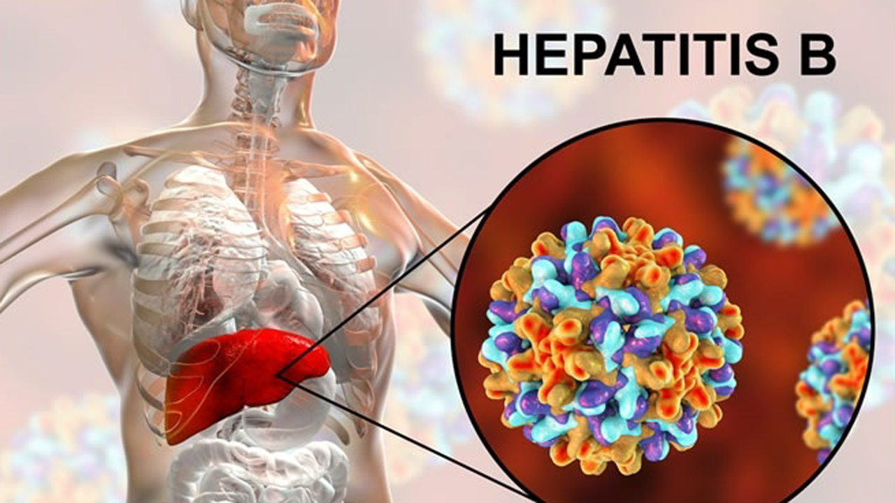 405 including pregnant women and children test positive for Hepatitis B in Effutu