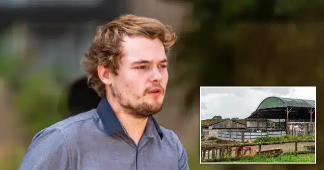 25-year-old man caught having sex with calf after suspicious farmer installs camera