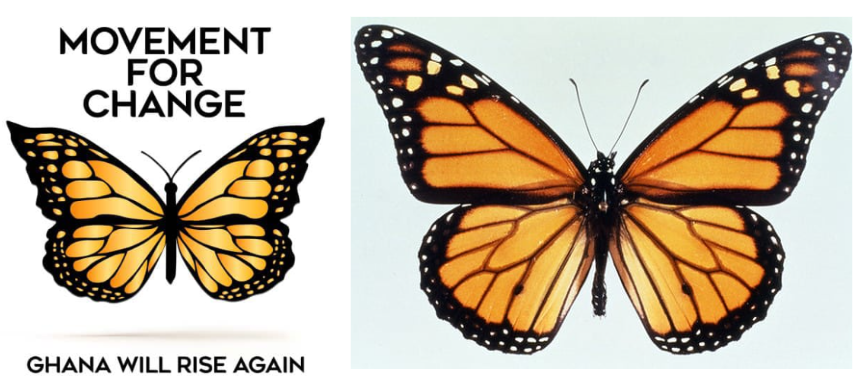 Google ‘exposes’ Alan’s ‘plagiarised’ logo