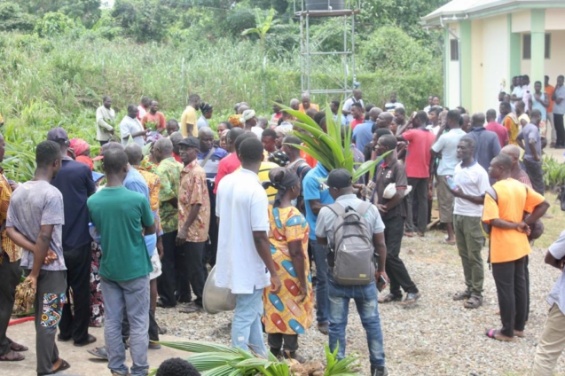 53,000 tree crop seedlings distributed to over 350 Sekyere Kumawu farmers