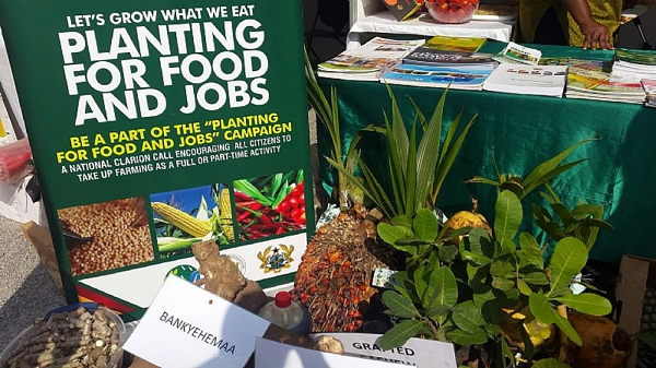 Planting for Food and Jobs: Govt seeks support from traditional authorities as Phase two is launched