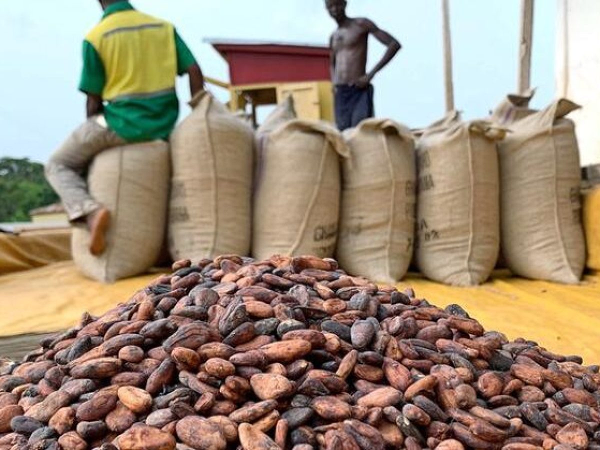 A bag of cocoa increased from GHS800 to GHS1,308 by Govt