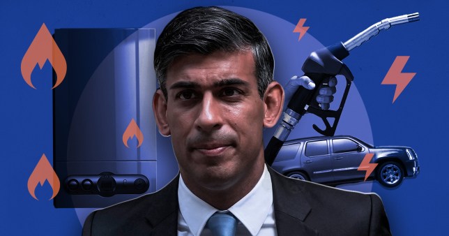 Ford criticises government after Rishi threatens to postpone 2030 petrol car ban