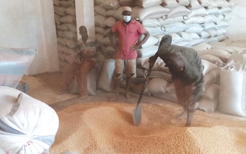 Soyabean processors negatively impacted by high electricity tariffs