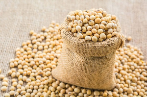 Soybean can yield substantial revenue if nurtured properly  – Soya Value Chain Association